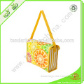 Effect cooler bag for lunch carry custom cooler bag, frozn lunch cooler bag